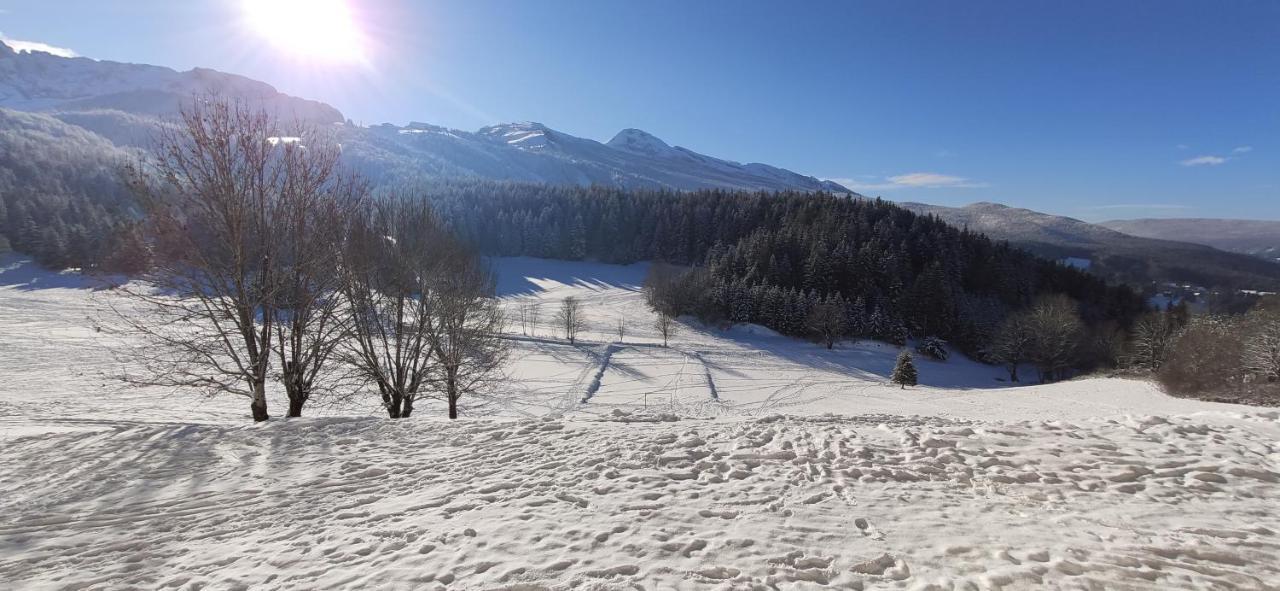 Studio Cosy Au Pied Des Pistes Villard-De-Lans 4 Pers Экстерьер фото